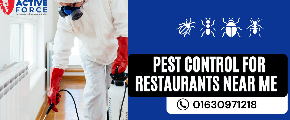 Best Pest Control Company in Bangladesh | Safe & Reliable